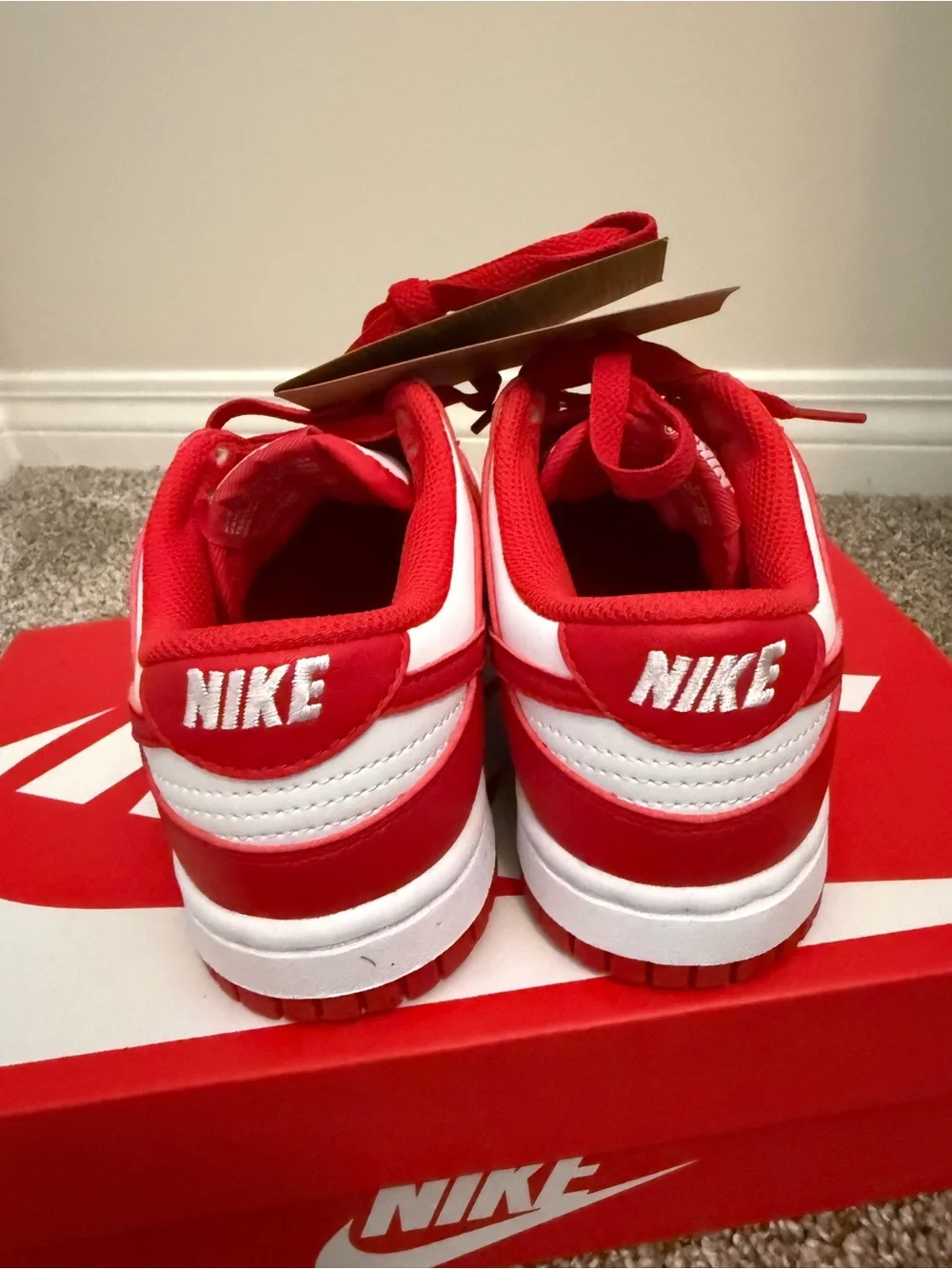 NWT Nike Dunk Low Next Nature Red & White